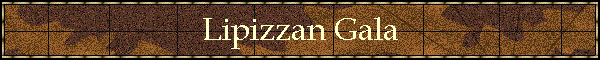 Lipizzan Gala