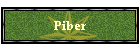 Piber
